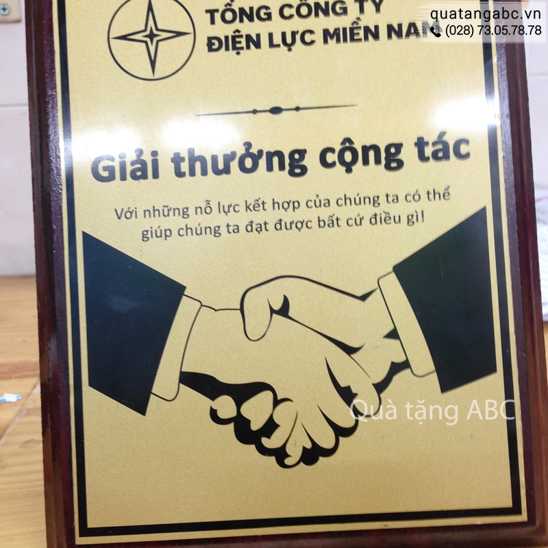 Kỷ Niệm Chương Gỗ Đồng Của Tổng Công Ty Điện Lực Việt Nam